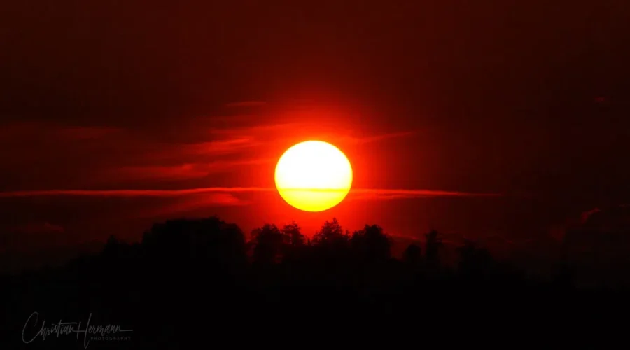 Sunlight Sneaking Up On Us