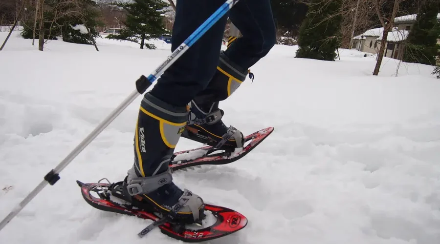 Snow Shoes