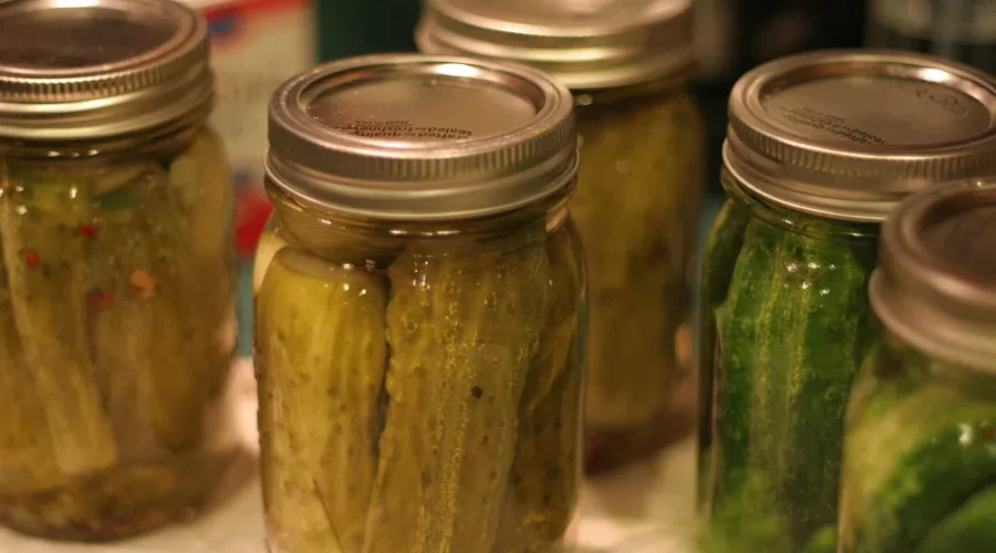 So Many Pickles, So Little Time