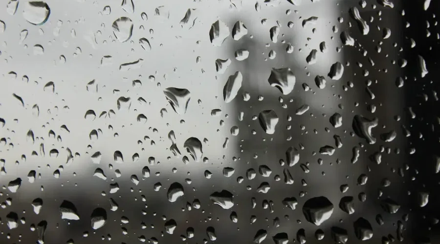 Rainfall Warning In Effect; High Winds Expected Sunday