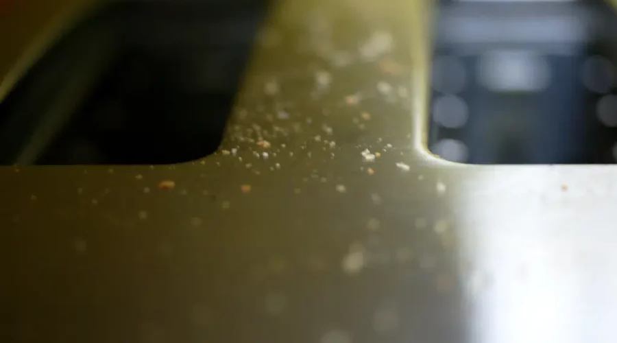 Do You Spring Clean?