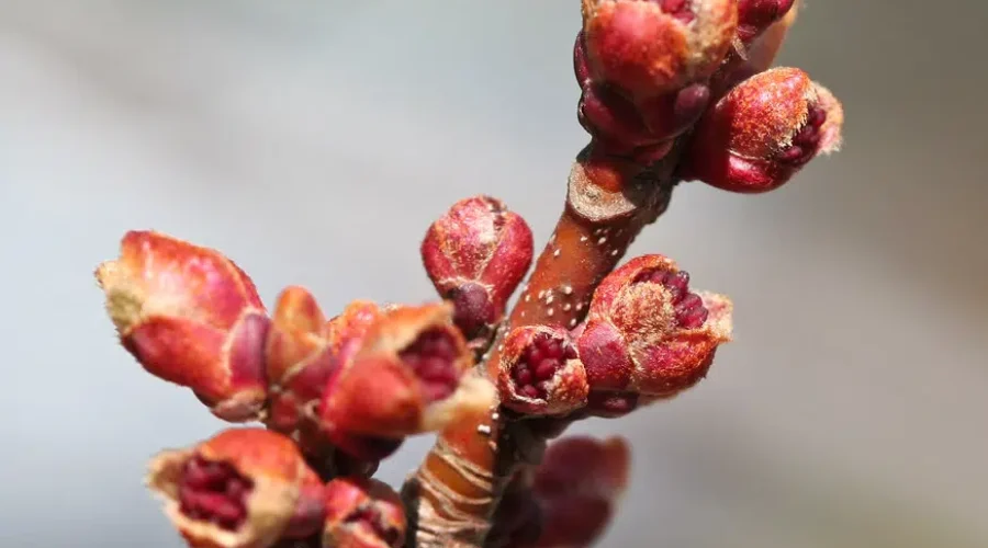 Isn’t It A Bit Early?