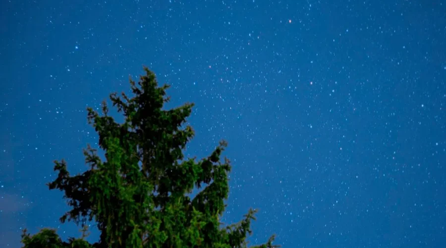 Star Gazers Unite! It’s International Dark Sky Week