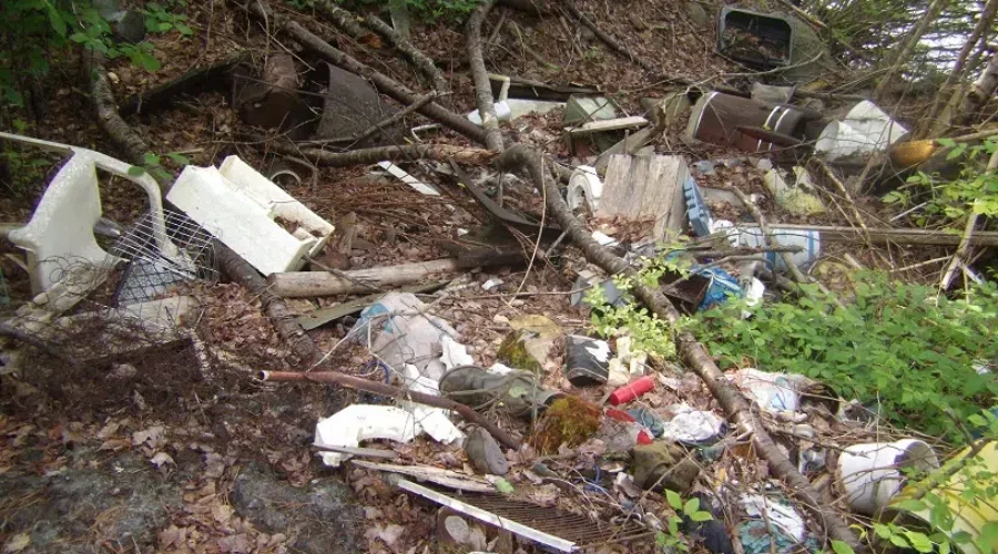 Local Non Profit Organizations Can Raise Money By Cleaning Up Litter