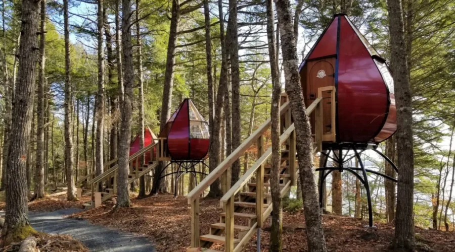 Kejimkujik Bookings Expected To Go Fast