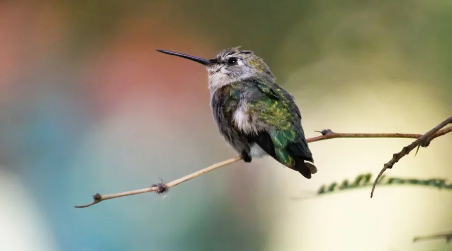 I Think They’re Avoiding Me