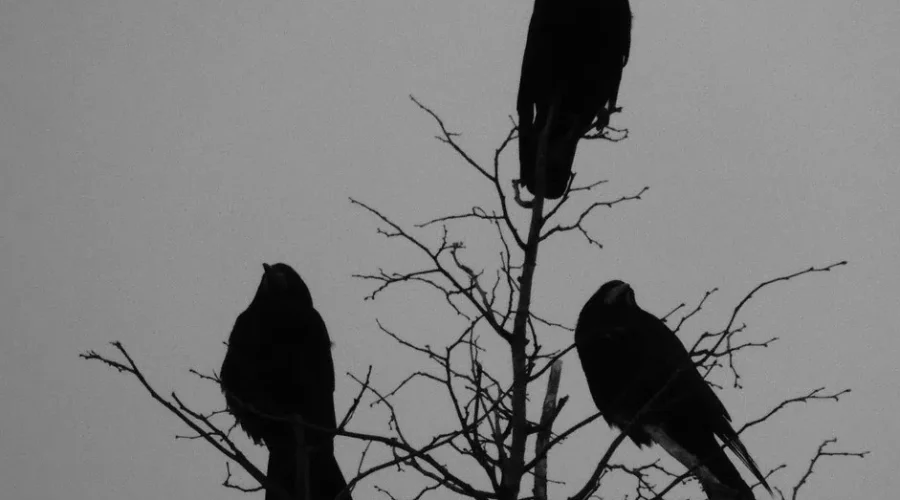 Tomorrow’s The Big Day