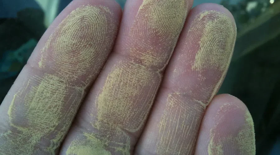 Nature Is Out To Get You