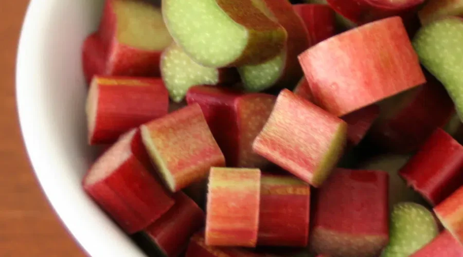 First “Fresh” Meal Of Spring!