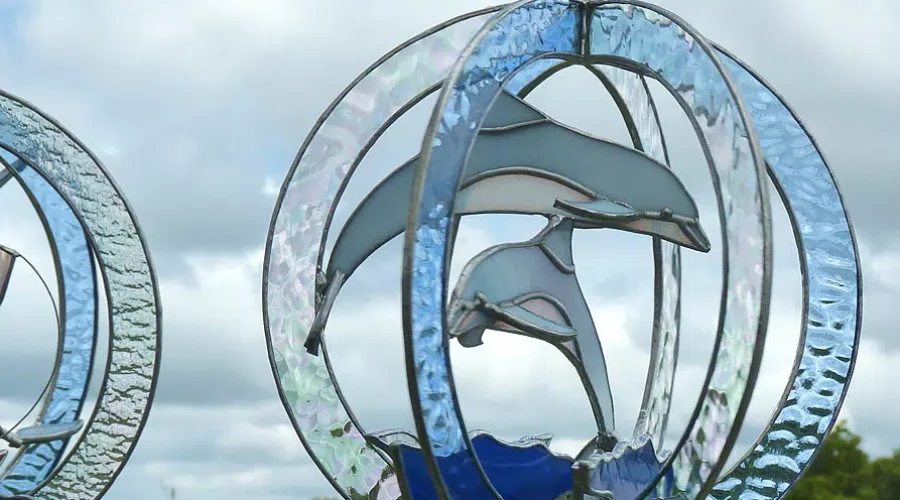 Team Dolphin Or Team Unicorn?