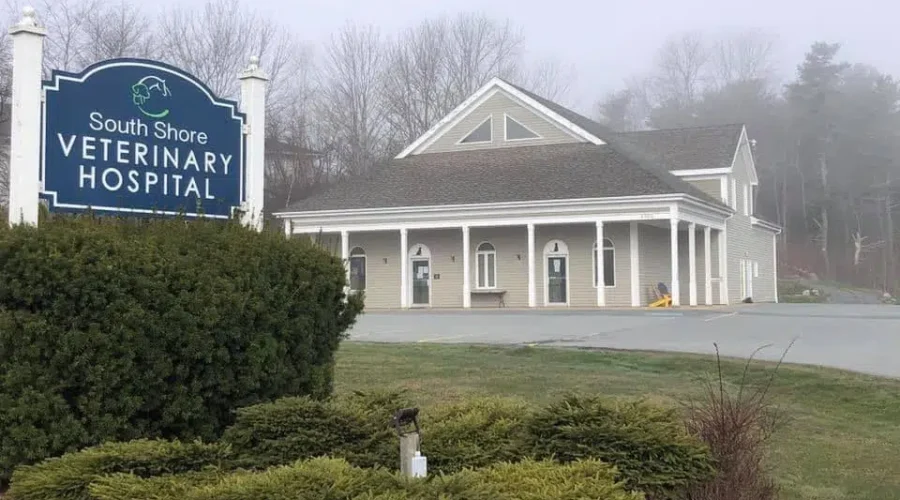 Staff Member At South Shore Vet Tests Positive For COVID-19