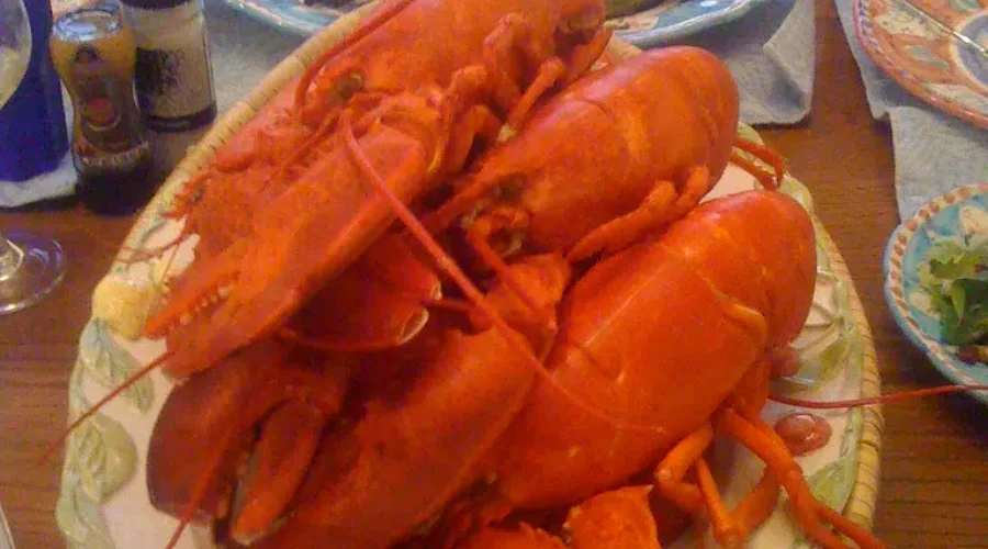 Have Any Lobster Yesterday?