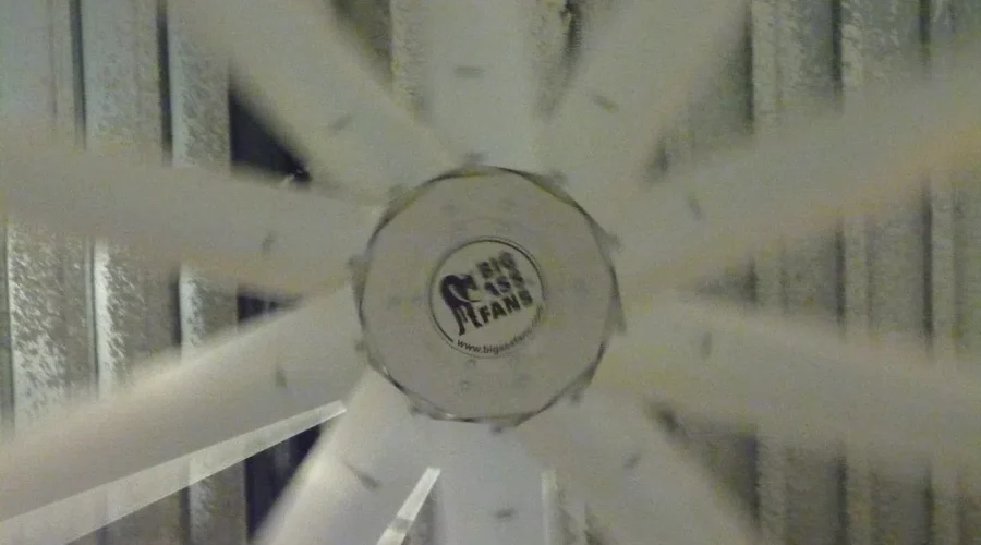 How Will You Beat The Heat?