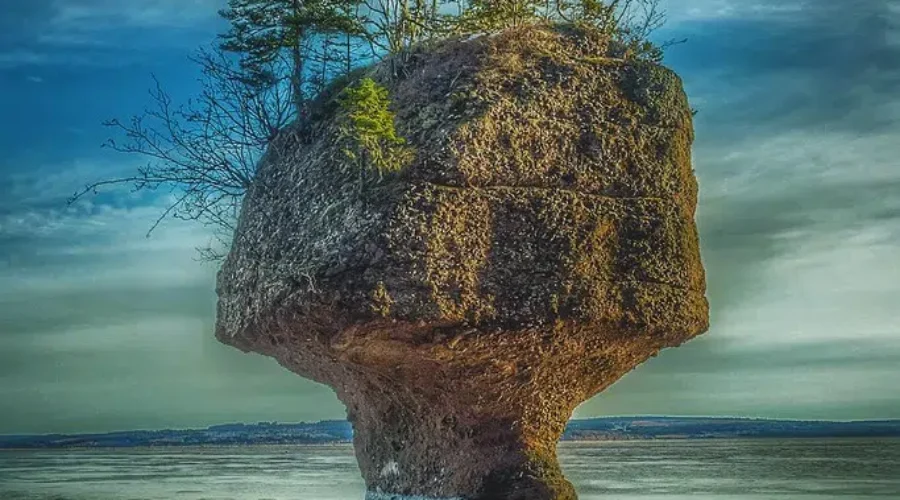 New Brunswick Or Nova Scotia?