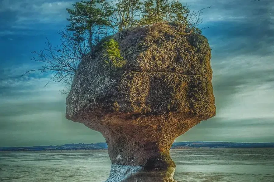 New Brunswick Or Nova Scotia?