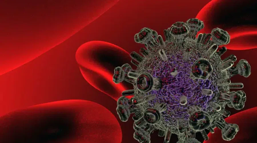 N.S. reports 1 death and 8 new COVID cases (June 11)