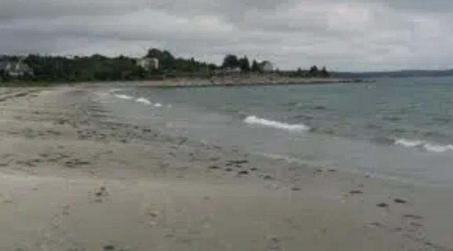 Lifeguards to supervise beaches starting Canada Day