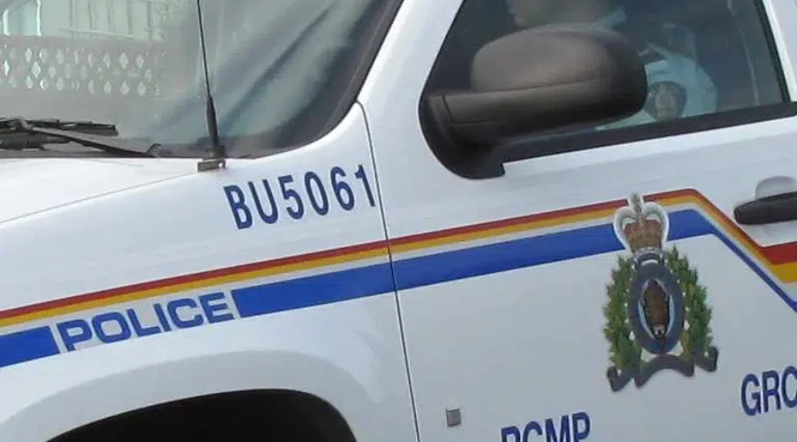 Two arrested after police disable vehicle with spike strip