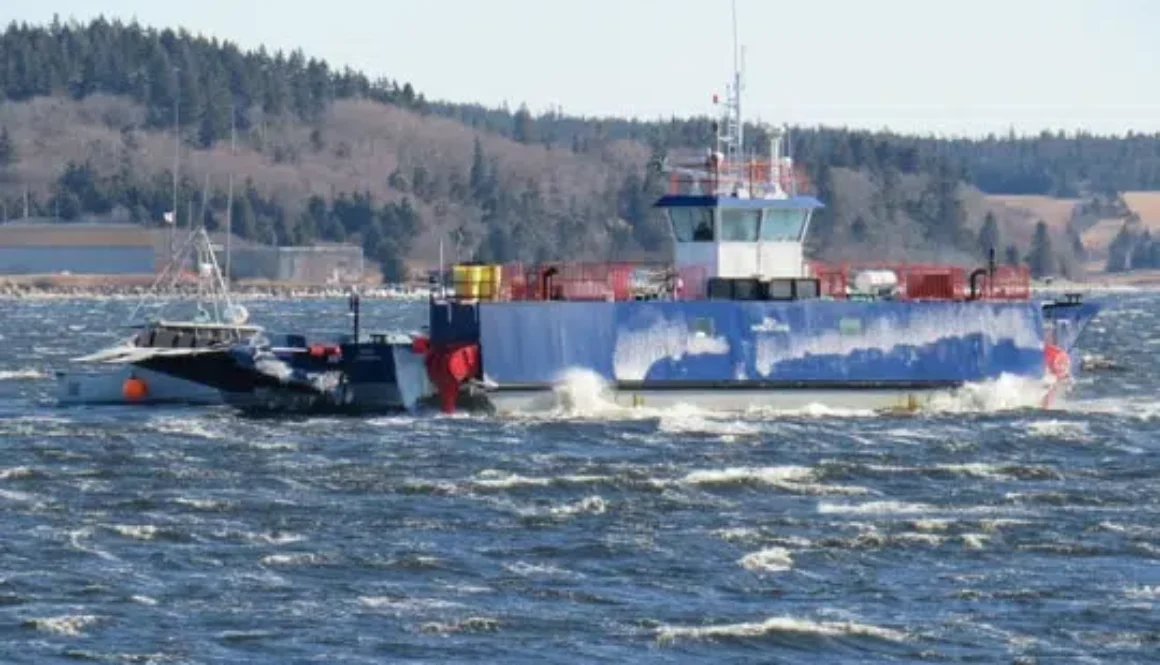 lahave-ferry-feb-2019
