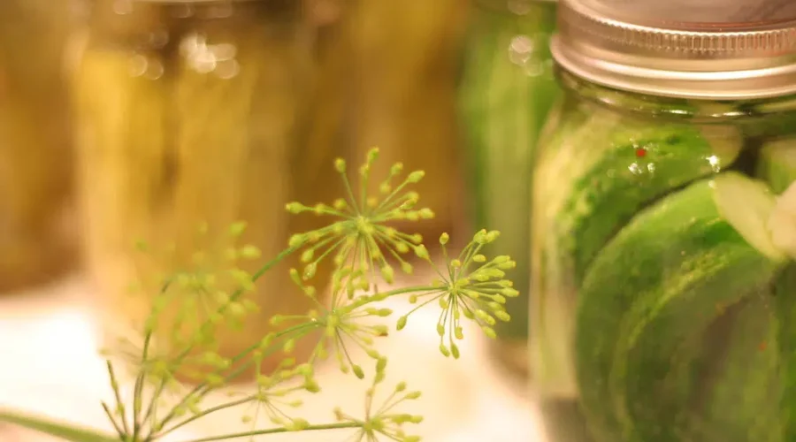 Snickles And Wedding Pickle Bars