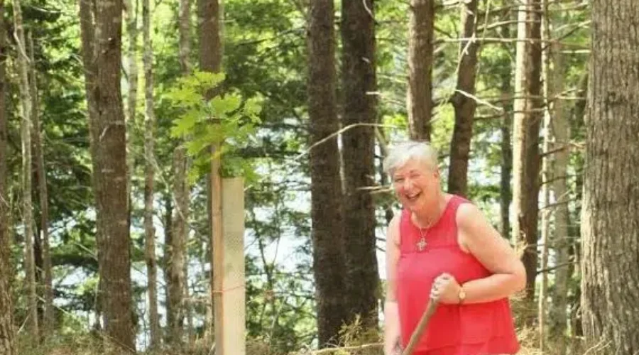 Keji Tree Planting Begins As Canada Aims To Plant 2 Billion Trees