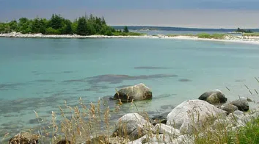 Province seeks feedback on protection of parks, wilderness areas