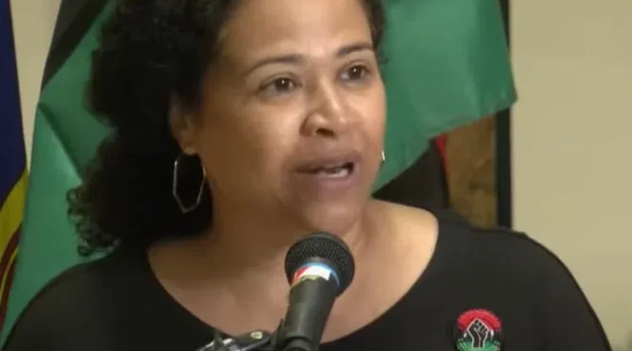 New institute to address anti-Black racism in justice system