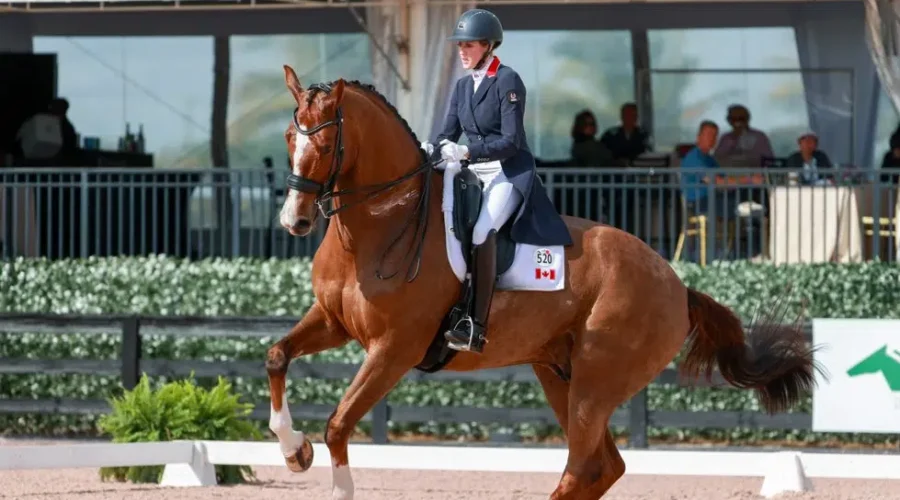 N.S. equestrian athlete makes Canadian history at Olympics