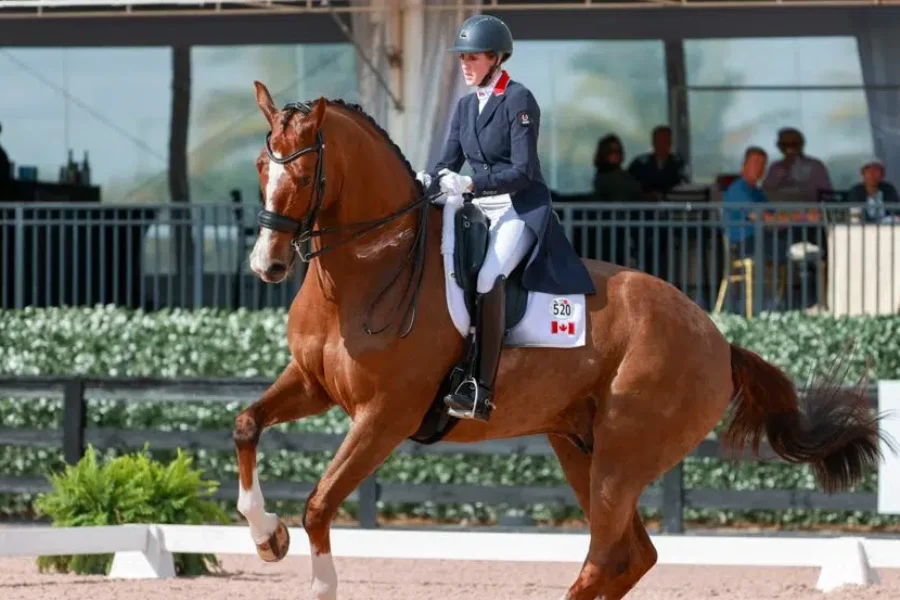 N.S. equestrian athlete makes Canadian history at Olympics