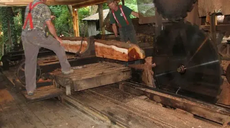 Report: Fire at lumber mill in Chester Grant