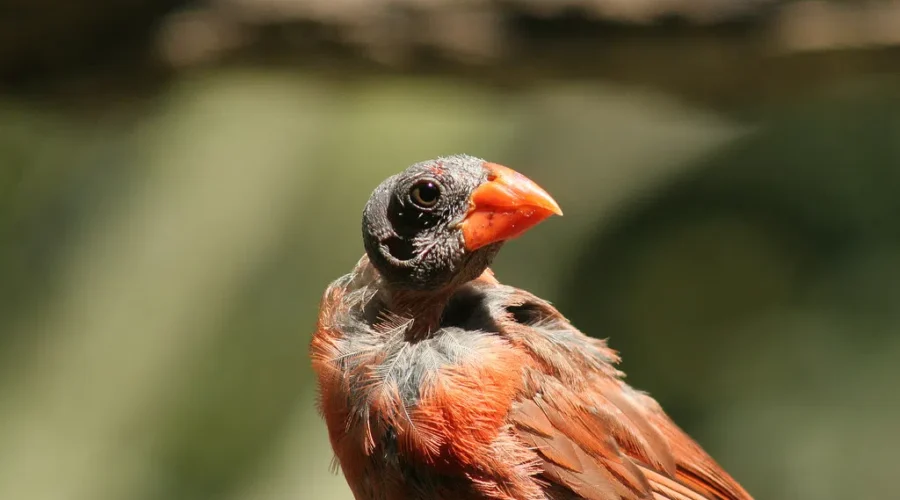 Not So Bad After All