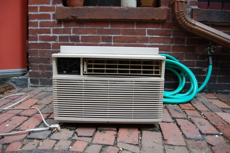 A Fan Of The Heat