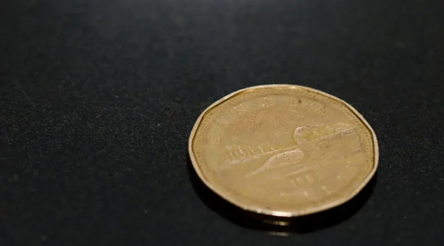 Keep A Look Out For A New Loonie!!! It Could Be In Your Change Soon!!!