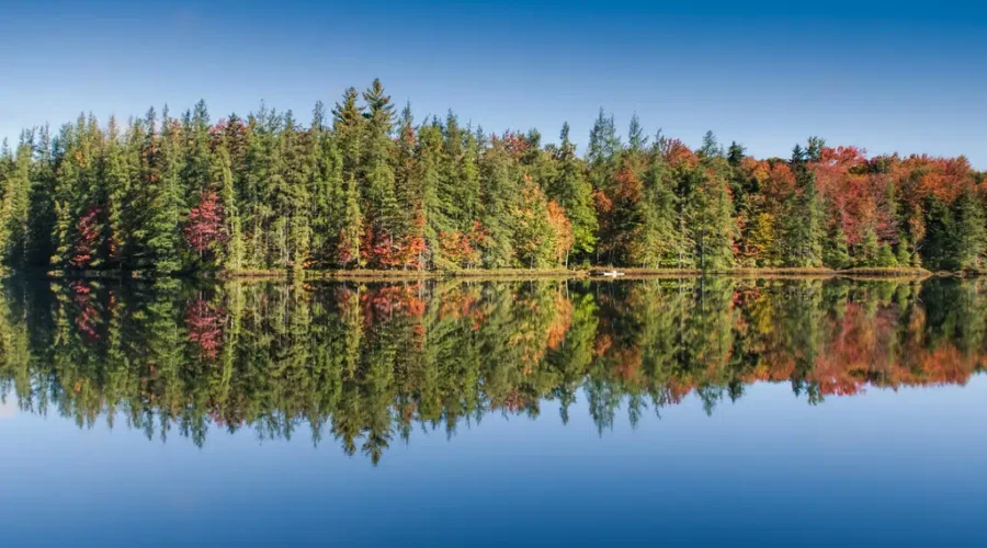 Best Things About Fall