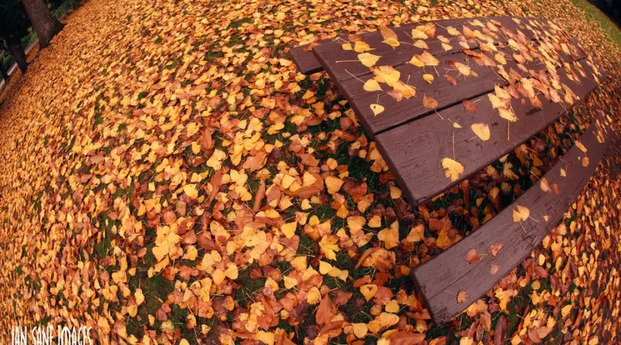 The Coming Of Sweater Weather