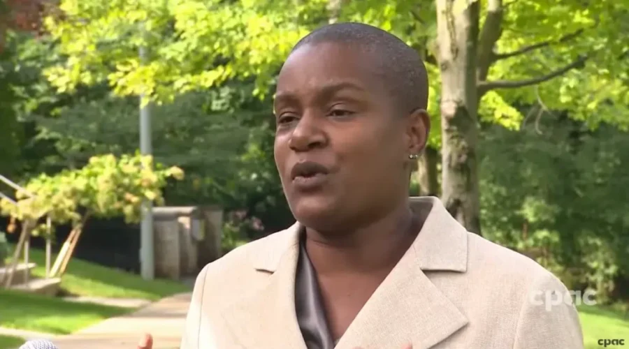 Federal Green Party Leader Steps Down