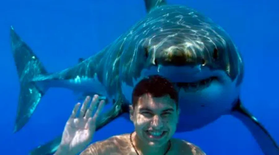 O Christmas Tree Doo Doo Doo Doo Doo