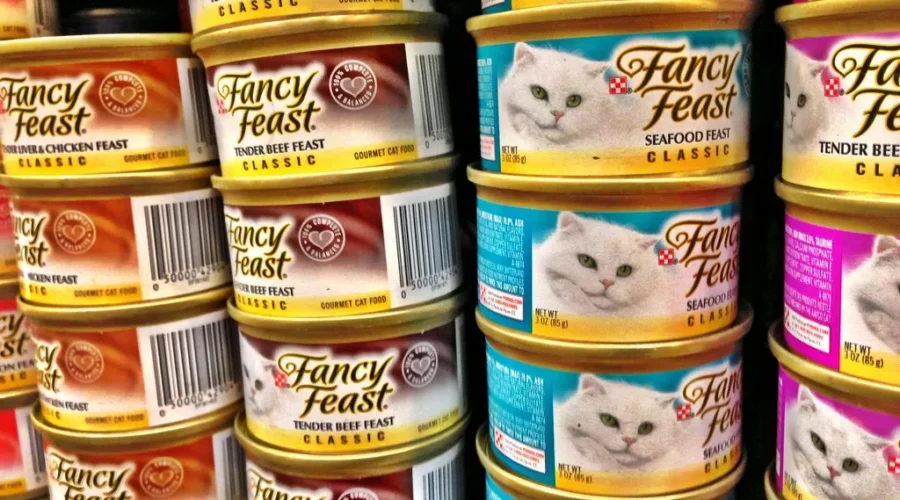 Things I Can’t Find