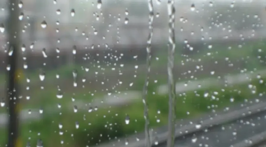 Heavy Rainfall and High Winds Expected on South Shore