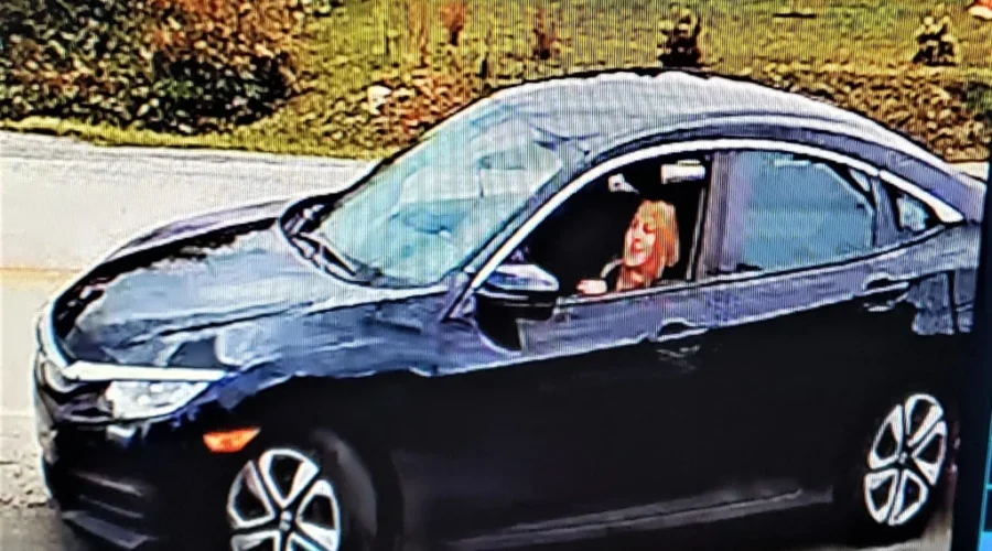 RCMP Investigating Shots Fired Towards Residence in Vogglers Cove