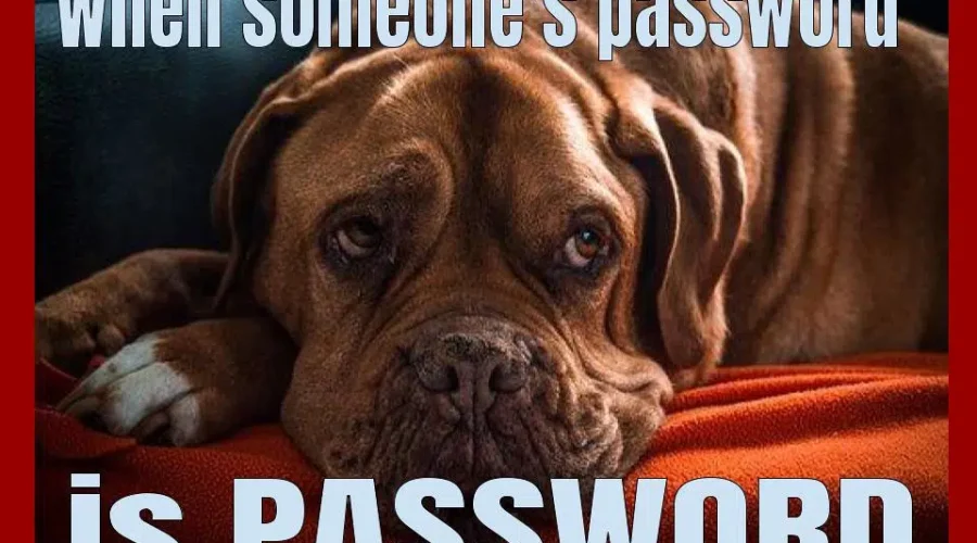 Is It Time To Change Your Password? Here’s The Top Passwords In Canada