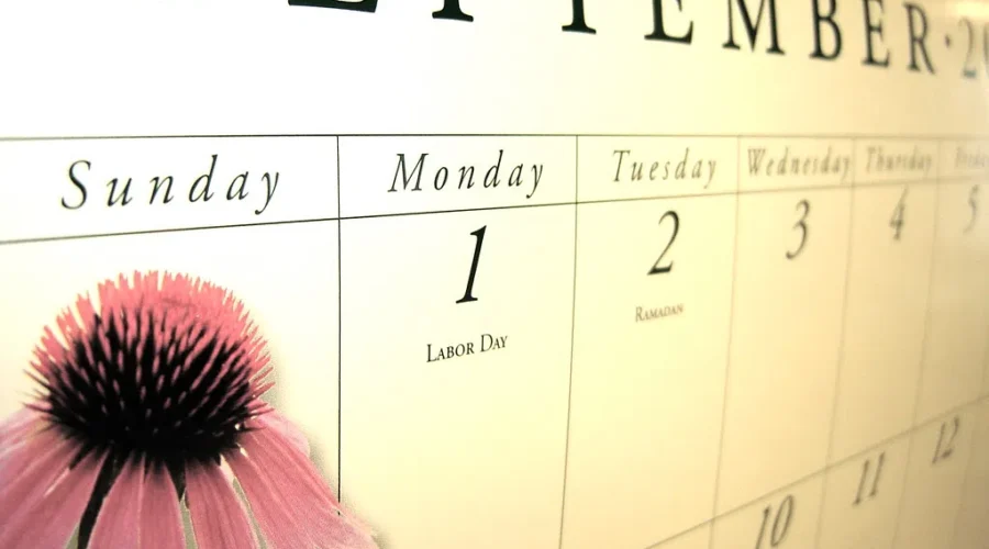 The New Calendars Are Appearing