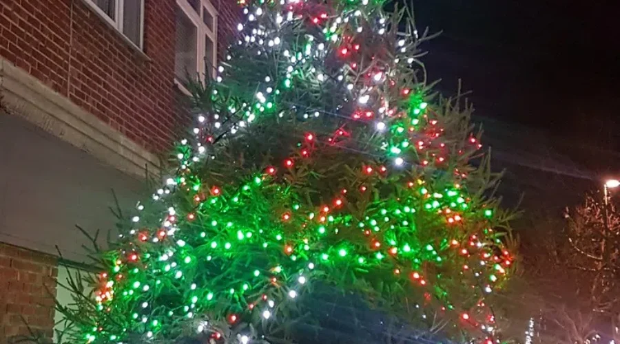 #realtree or #faketree?