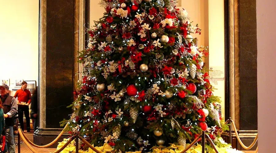 When Does Your Tree Go Up?