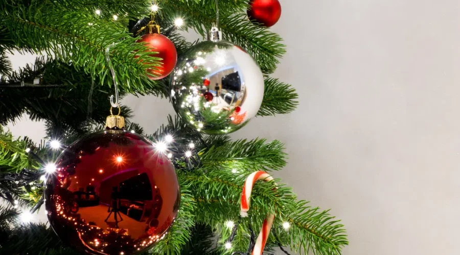 Candy Not For Eating?