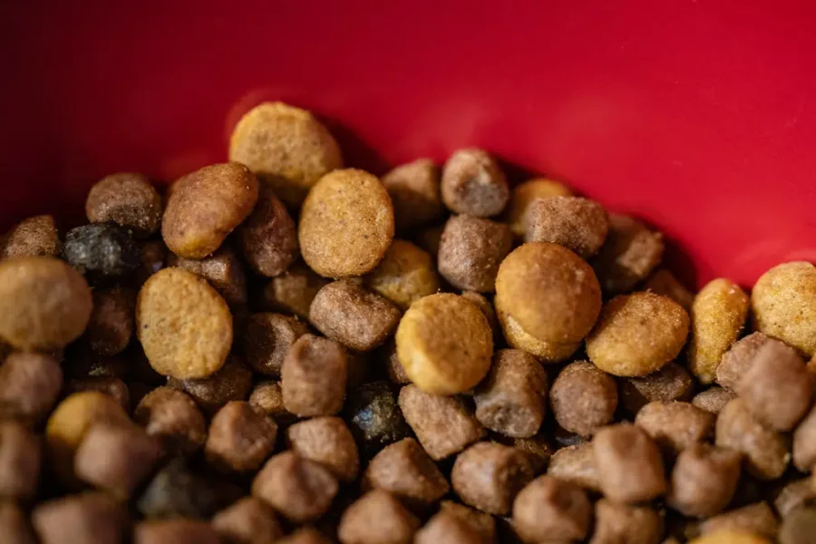 Got Pet Food?