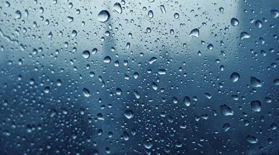 Weather warnings remain in place as messy fall storm sweeps through N.S.