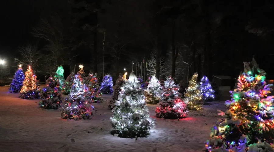 4H Community Forest Sells Out