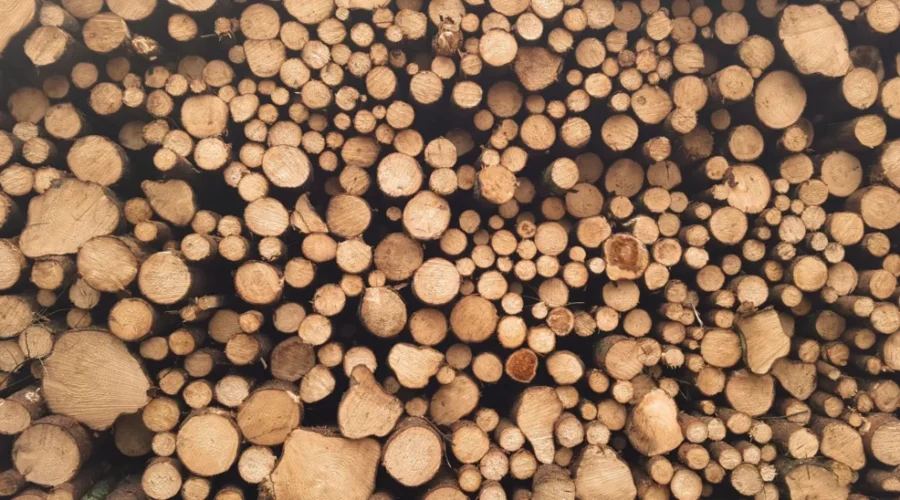 Higher Softwood Lumber Tariffs Don’t Make Sense: Expert