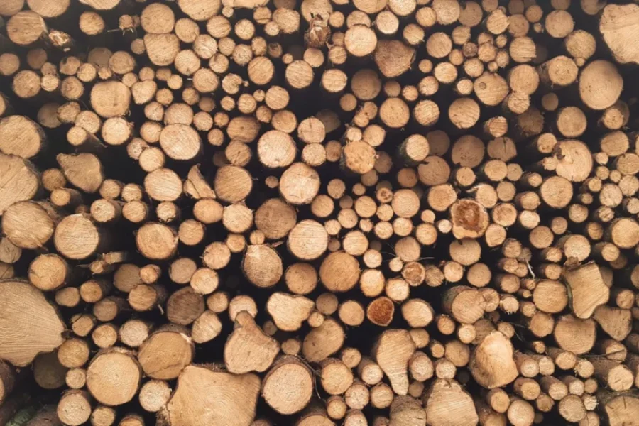 Higher Softwood Lumber Tariffs Don’t Make Sense: Expert
